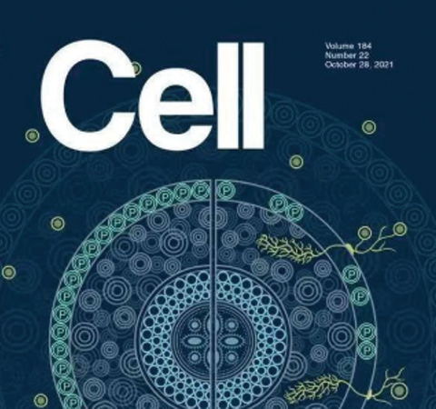 祝賀王二濤老師團(tuán)隊又一佳作榮登Cell期刊！