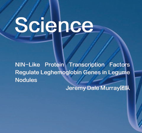 祝賀Jeremy Dale Murray團(tuán)隊佳作榮登Science期刊！